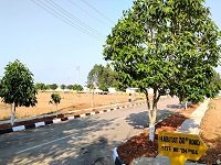 Sites in Electronic City for sale